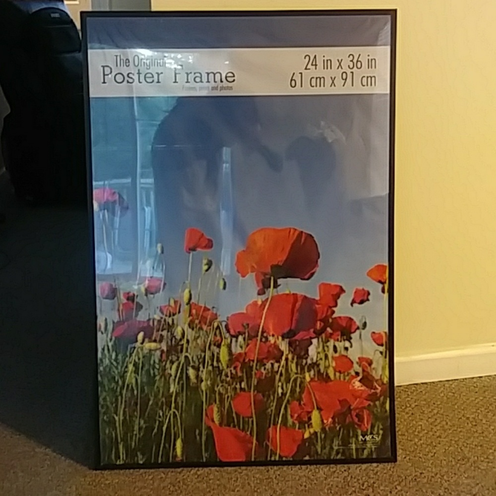 Original poster frame 24 by 36 in